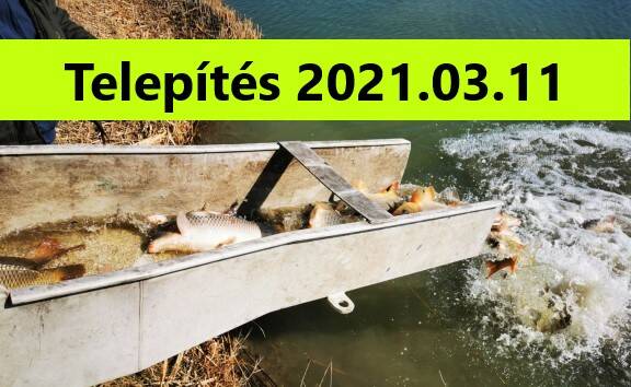 Telepítés 2021.03.11