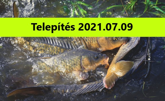 Telepítés 2021.07.09